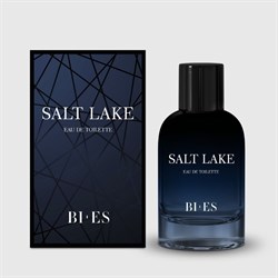 5904413311942 Туалетная вода SALT LAKE для него, 100 мл 5904413311942 - фото 6851