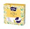 BE-021-RZ70-006 Bella Panty Flora Tulip 70 70-006 - фото 6305